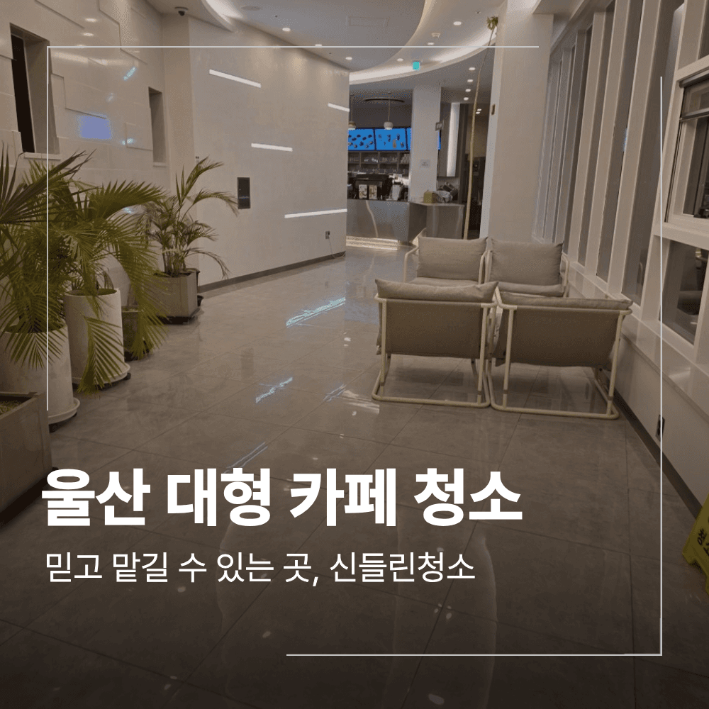울산 대형 카페 외창 청소 작업 필요했던 이유