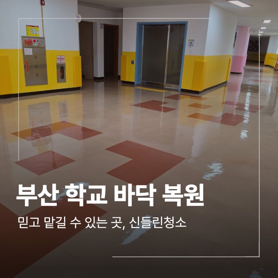 부산 강서구 학교 바닥 복원 코팅 작업 과정 비용 기준
