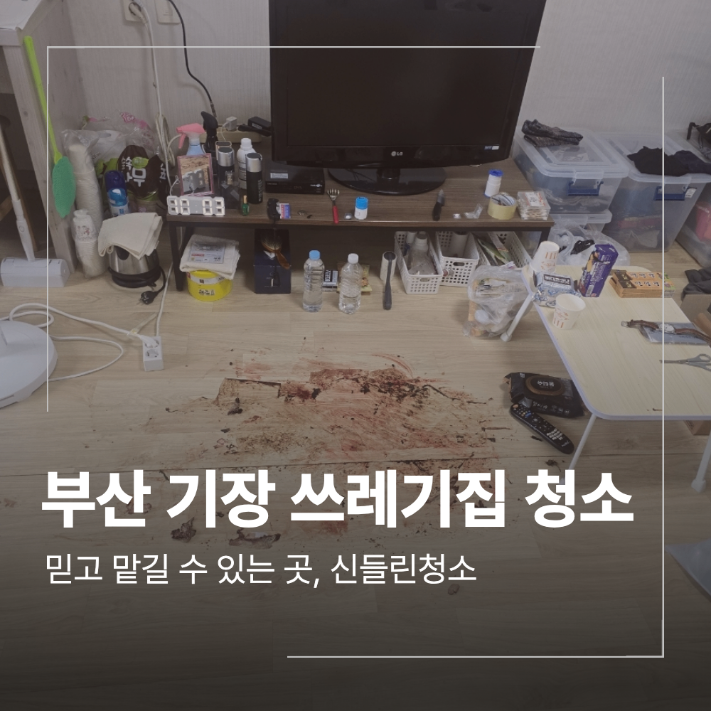 부산 기장 쓰레기 집 청소 악취 오염 해결